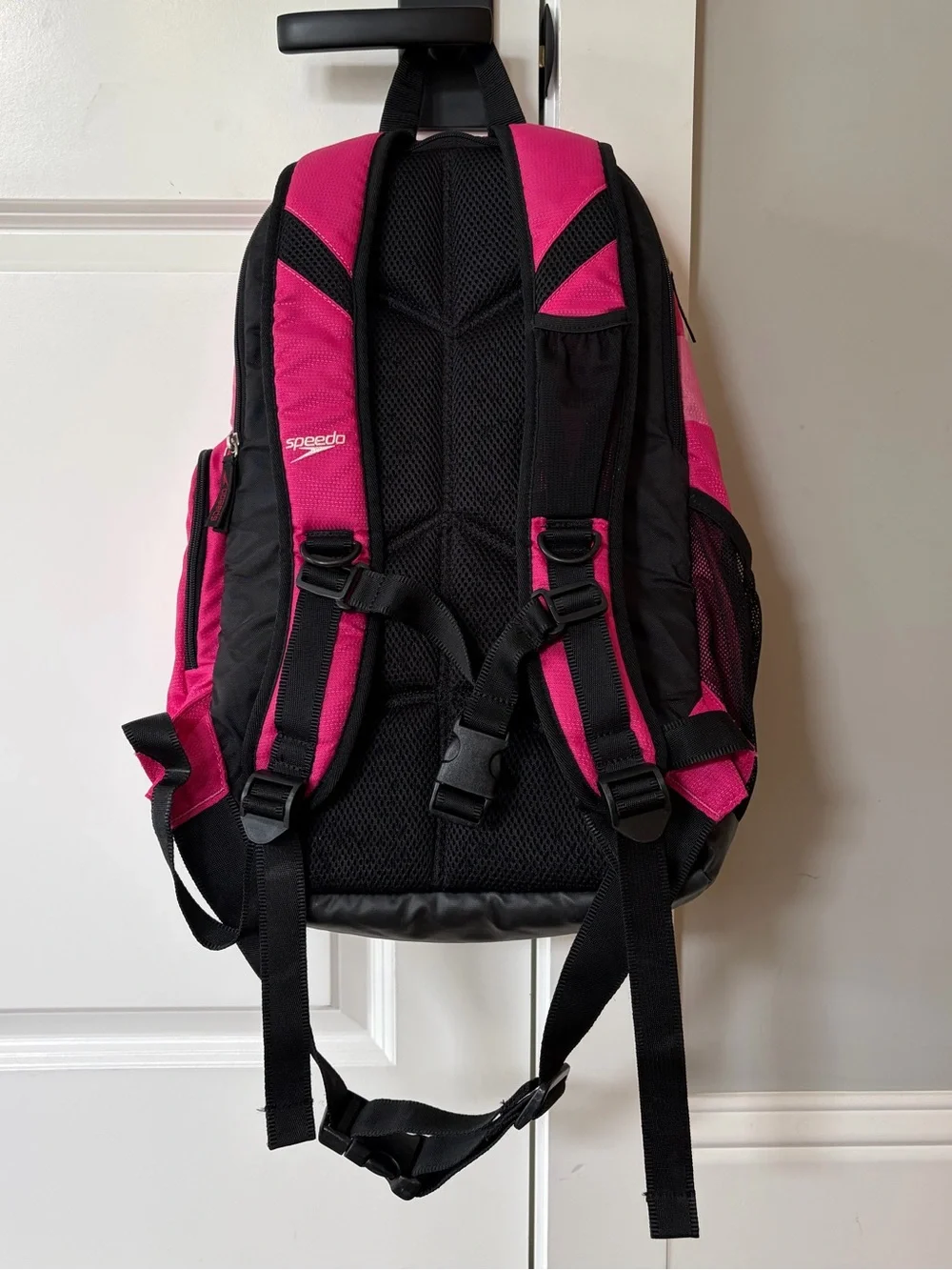 Speedo Teamster 25L backpack